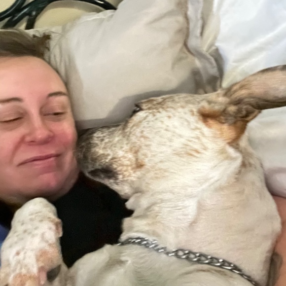 Meet your Posher, Harper - Picture 4 of 13